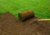 jak zakładać trawnik z rolki